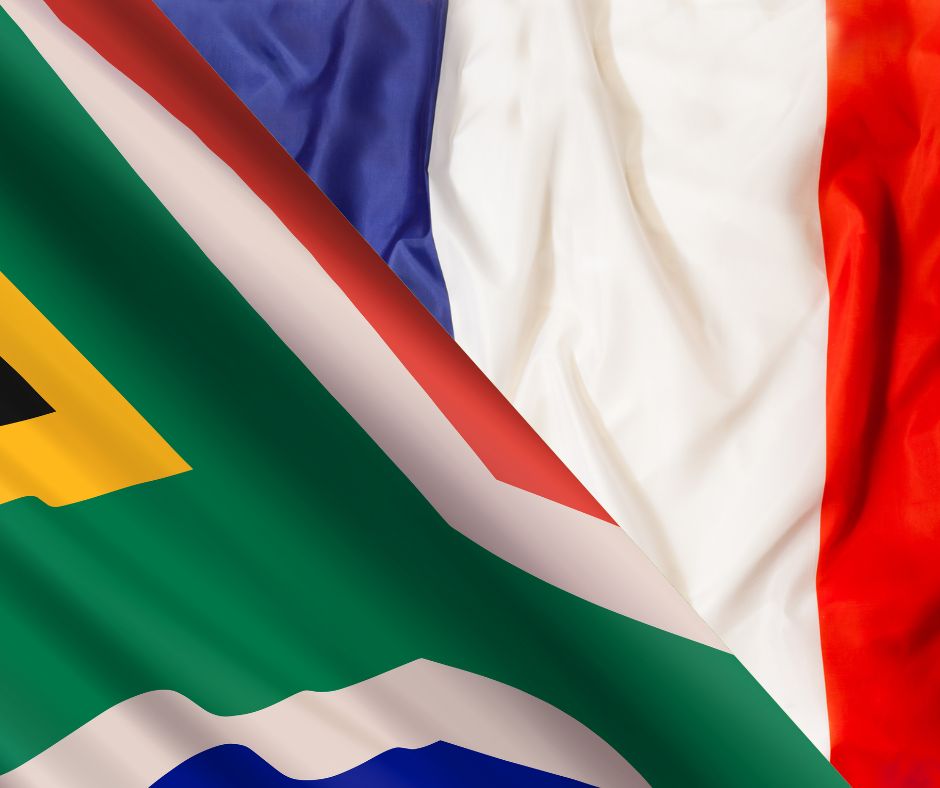 Who do the Springboks want to play in the RWC quarter finals?